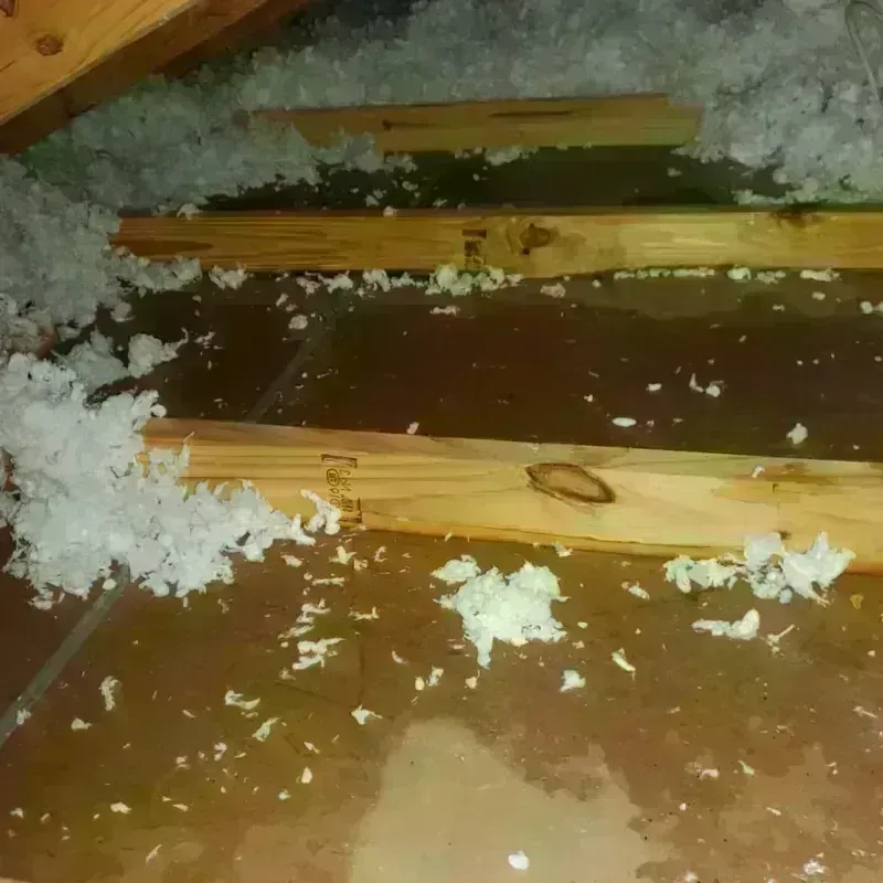 Attic Water Damage in Kaukauna, WI