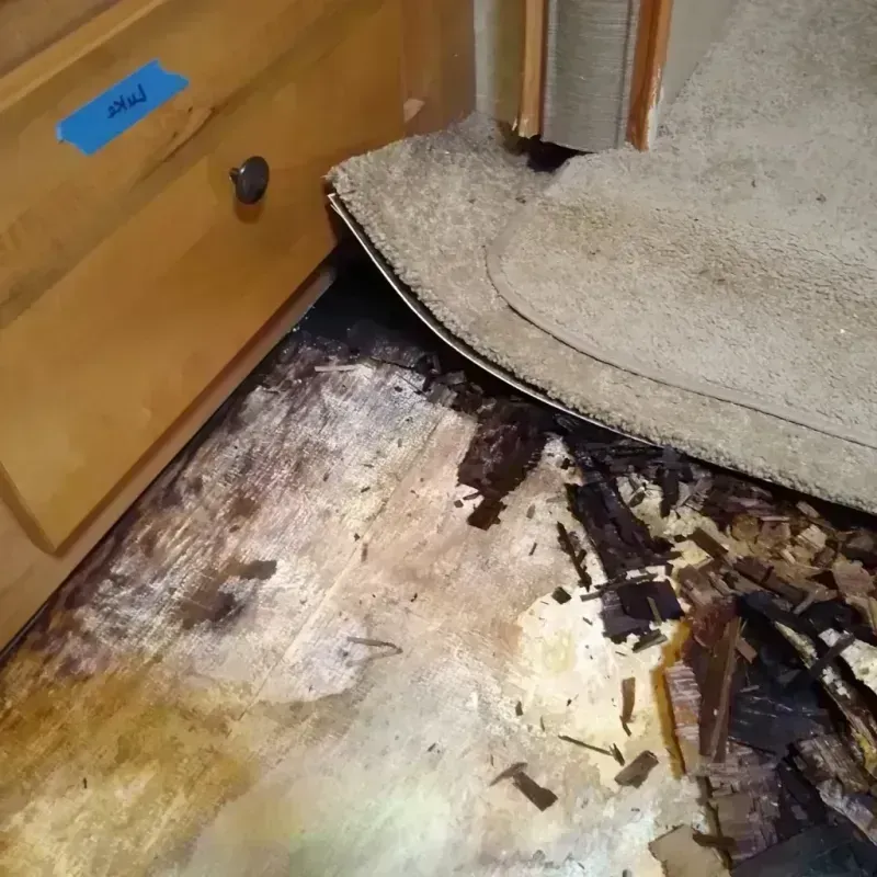 Wood Floor Water Damage in Kaukauna, WI